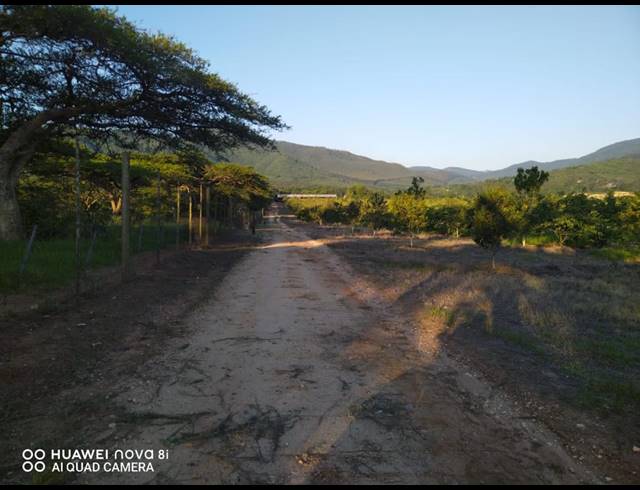 29HA FARM FOR SALE IN LEVUBU